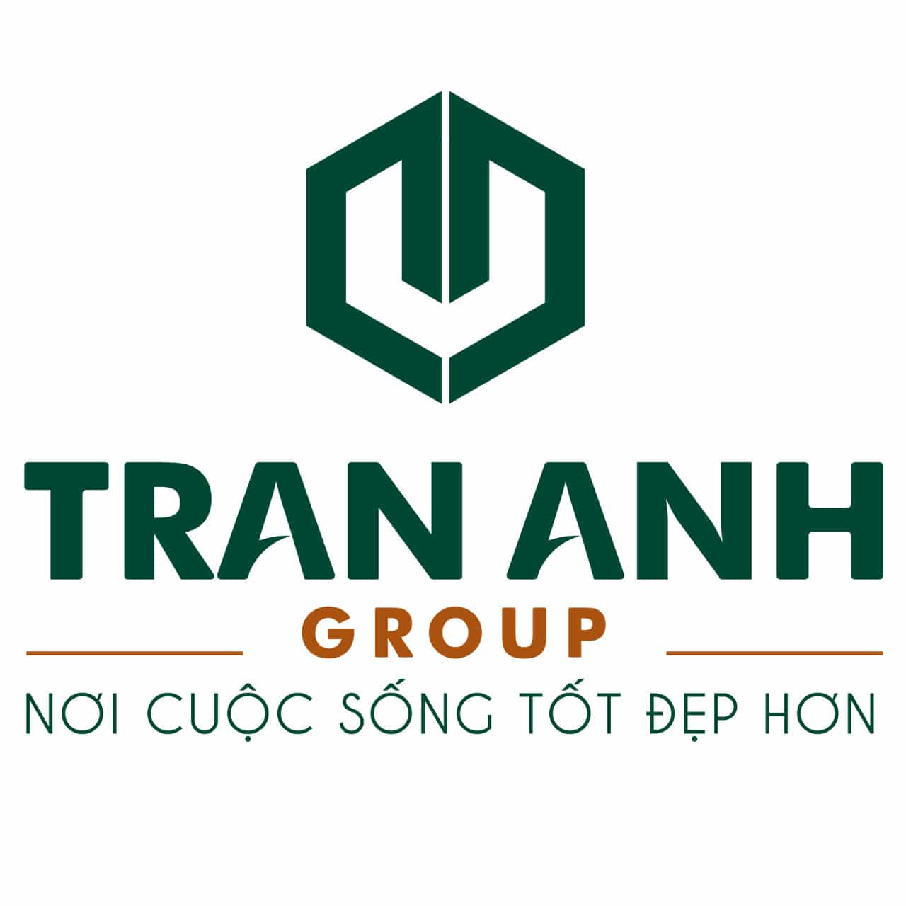 Địa Ốc Trần Anh Group