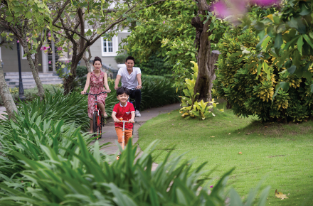 tiện ích dragon eden
