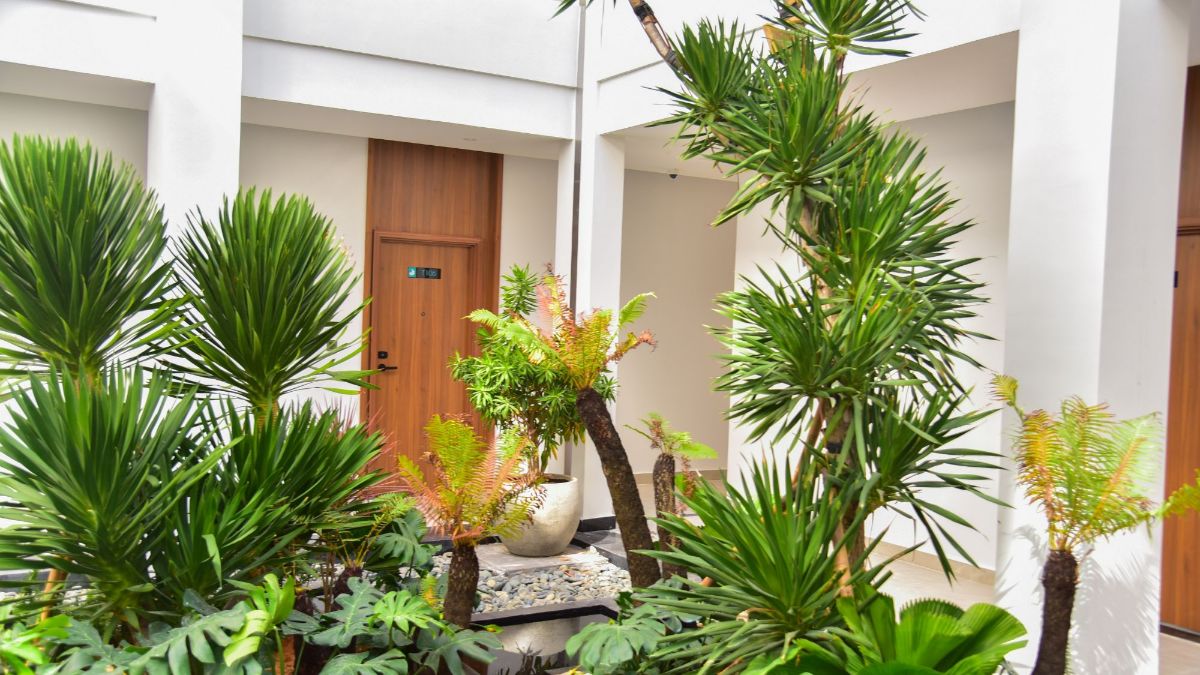 Hồ bơi vô cực sát biển tại The Vista Beach Resort & Spa Phan Thiết